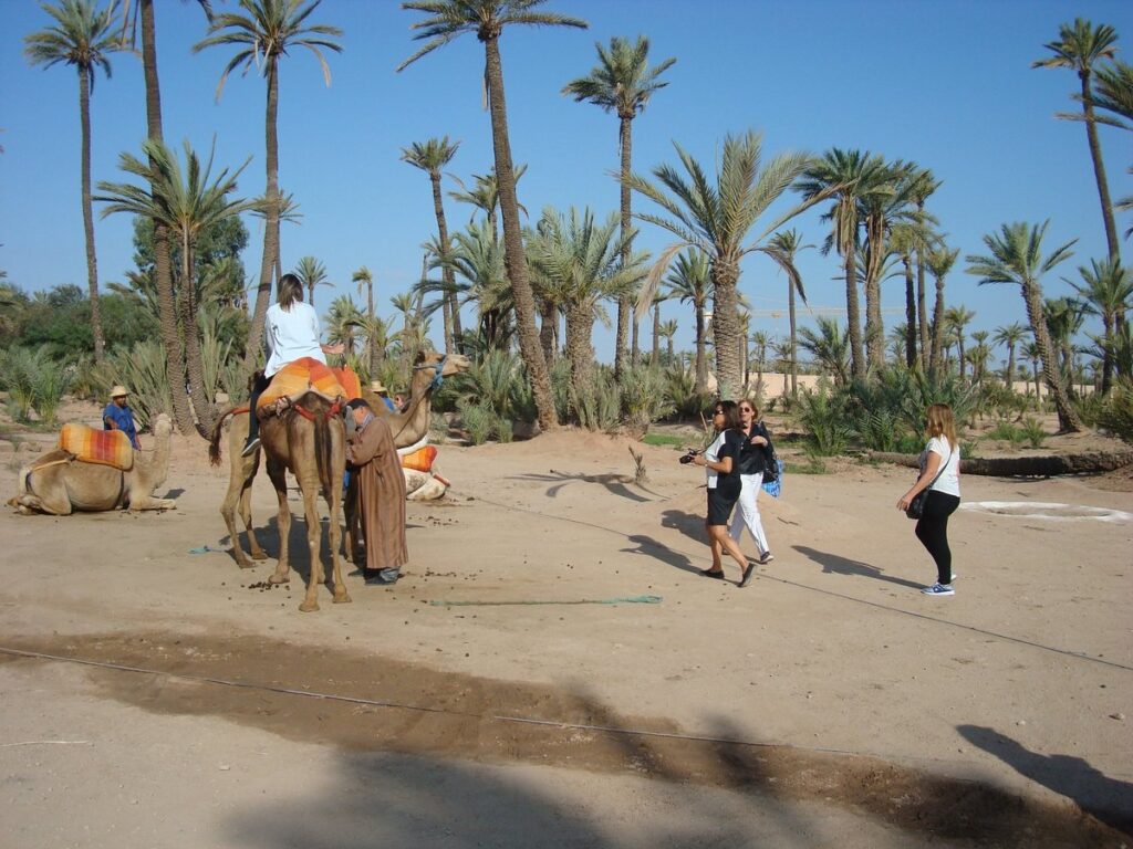 Marrakech Desert Tours 4 Days